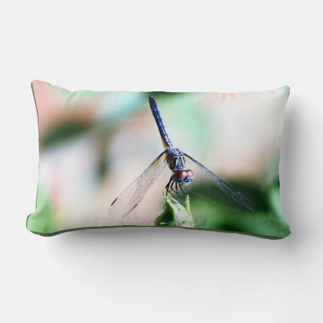 Almohada decorativa de la mosca del dragón (Anverso)