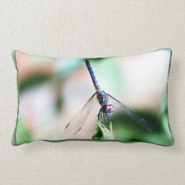 Almohada decorativa de la mosca del dragón