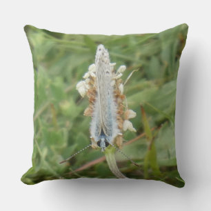 Almohada Decorativa de Mariposa Azul Común Mirando