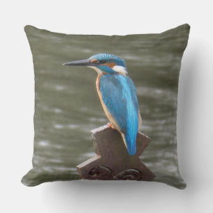 Almohada decorativa de Martín Pescador Lindo