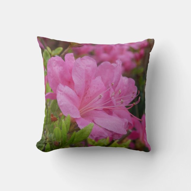 Almohada decorativa de moda con imagen de Rhododen (Anverso)