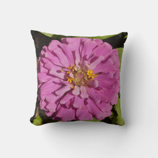 Almohada decorativa de moda con zinnia púrpura