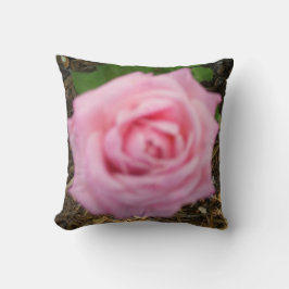 Almohada decorativa de rosa rosa