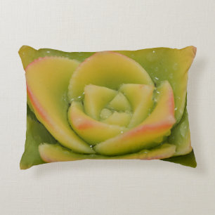 Almohada decorativa de suculenta Decoración botá