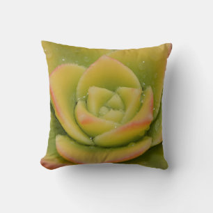 Almohada decorativa de suculenta esmeralda Decor