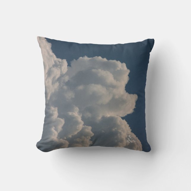 Almohada decorativa del caniche de la nube (Anverso)