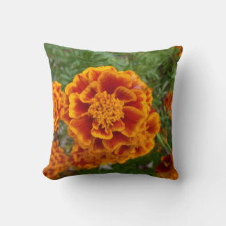 Almohada Decorativa Floral Con Imagen De Marigold