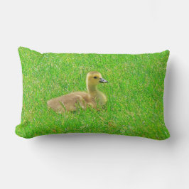 Almohada Decorativa Ganso de Canadá