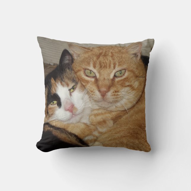 Almohada Decorativa  Gatos (Anverso)