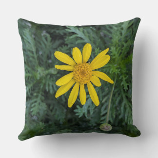 Almohada Decorativa-Serie Floral-Euryops-Margarita