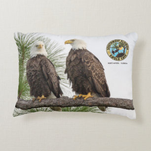 Almohada del acento de H&O