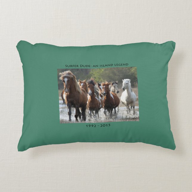 Almohada del acento de la banda de la persona que (Anverso)