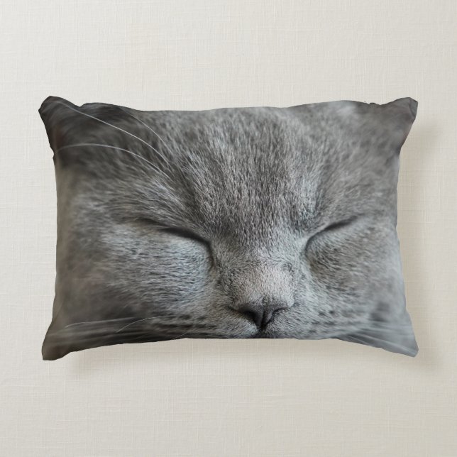 Almohada del acento de la foto del gato Gris Gris  (Anverso)