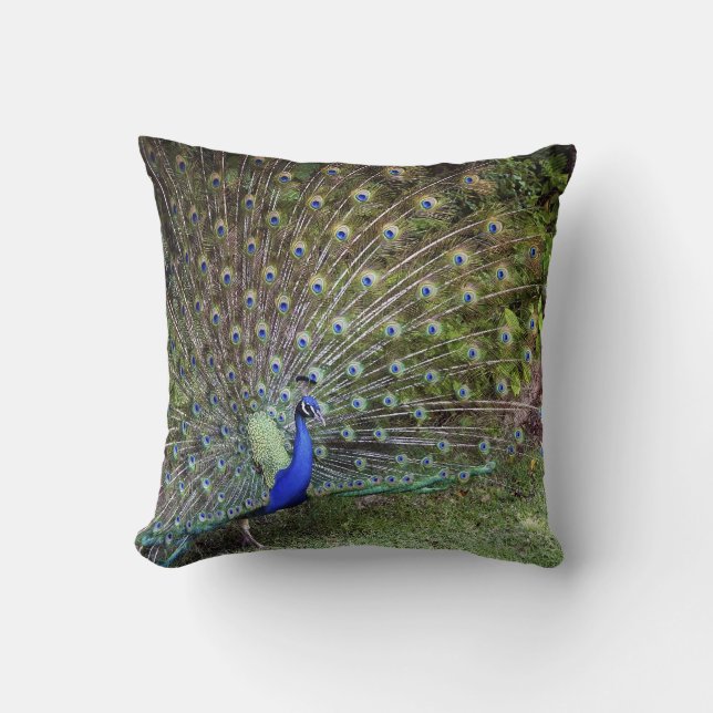 Almohada del acento del pavo real (Anverso)