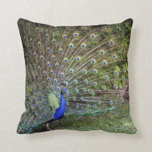 Almohada del acento del pavo real