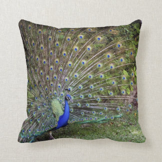 Almohada del acento del pavo real