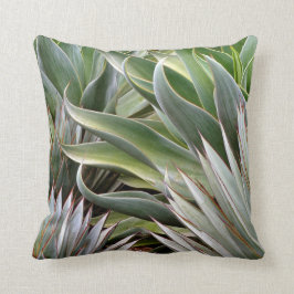 Almohada del agavo de Debra Lee Baldwin