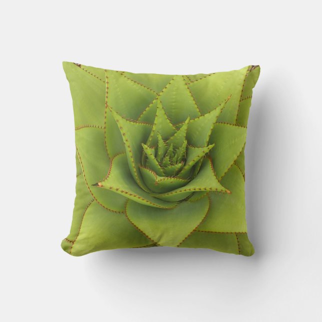 Almohada del áloe de Debra Lee Baldwin (Anverso)