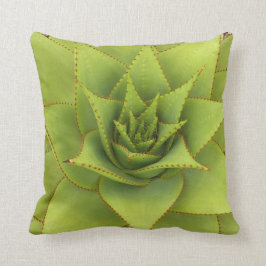 Almohada del áloe de Debra Lee Baldwin