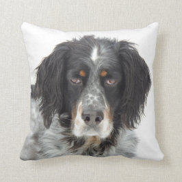Almohada del amor del organismo