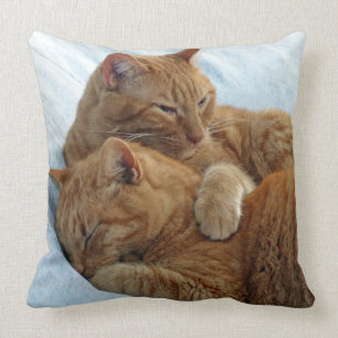 Almohada del amor fraternal