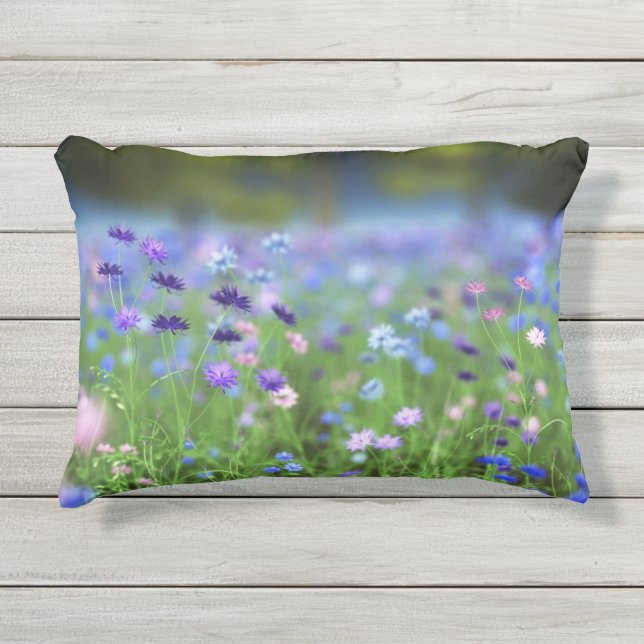 Almohada del azul del Cornflower (Anverso)