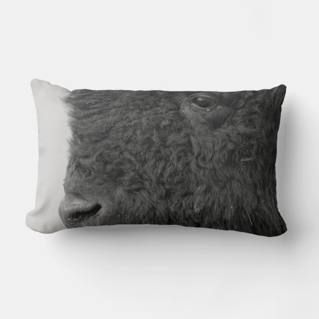 Almohada del bisonte o del búfalo (Anverso)