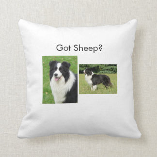 Almohada del border collie