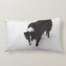 Almohada del border collie