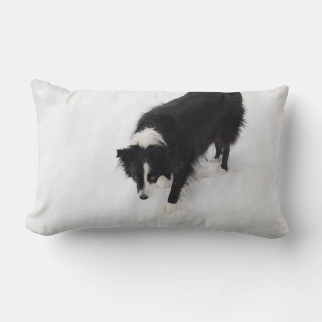 Almohada del border collie (Anverso)