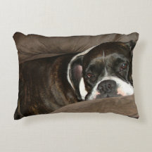 Almohada del boxeador