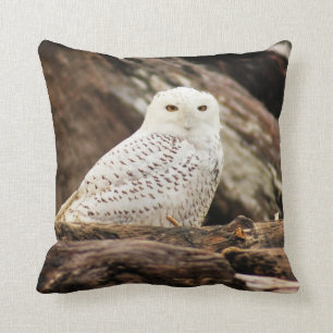 Almohada del búho Nevado