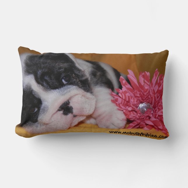 Almohada del bulldog del amor del matón (Anverso)