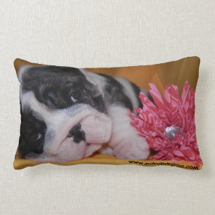 Almohada del bulldog del amor del matón