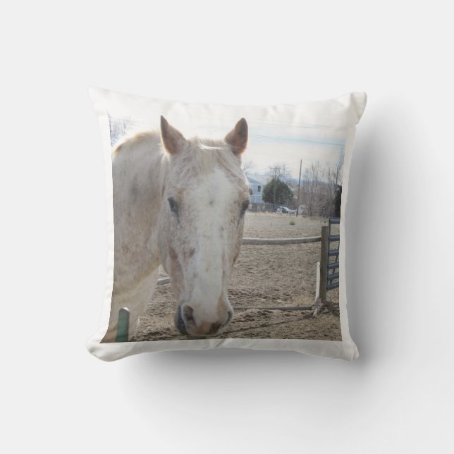 Almohada del caballo blanco (Anverso)