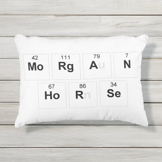 Almohada del caballo de Morgan (Anverso)