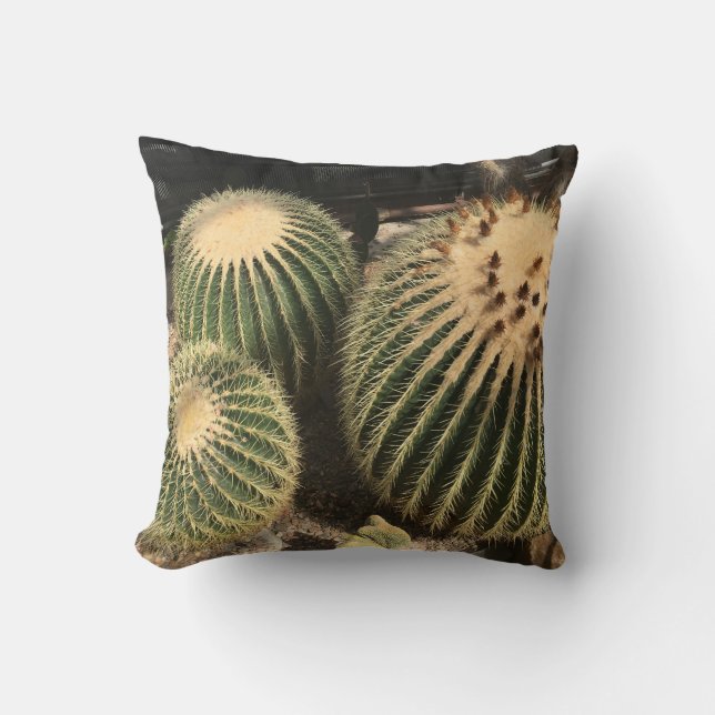 Almohada del cactus (Anverso)
