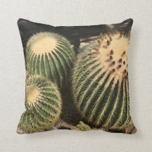 Almohada del cactus