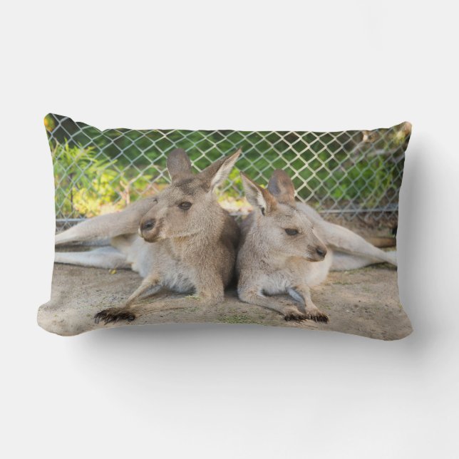 Almohada del canguro (Anverso)