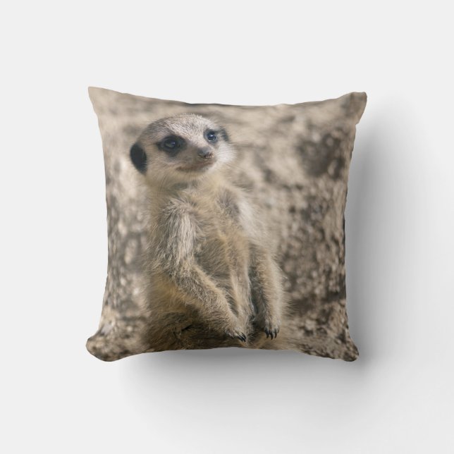 Almohada del Centinela-en-Entrenamiento (Anverso)