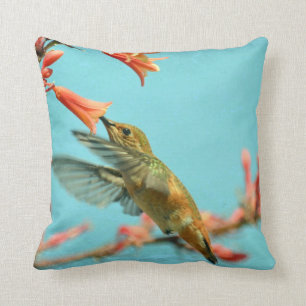 Almohada del colibrí