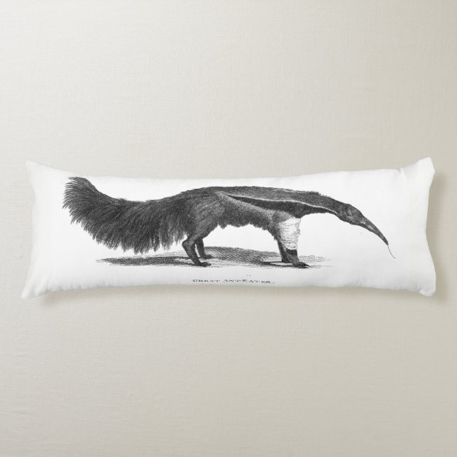 Almohada del cuerpo del gran Anteater (Anverso)