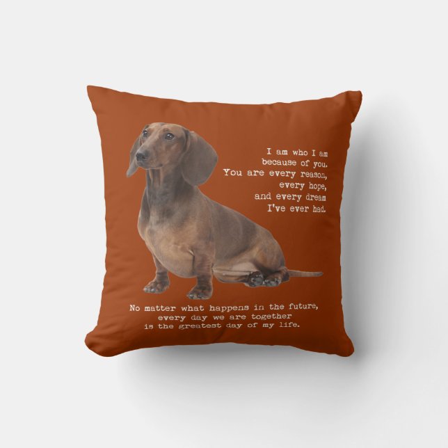Almohada del Dachshund (Anverso)