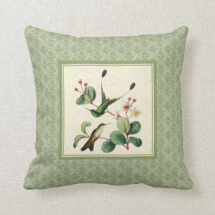 Almohada del damasco de los colibríes de la cola