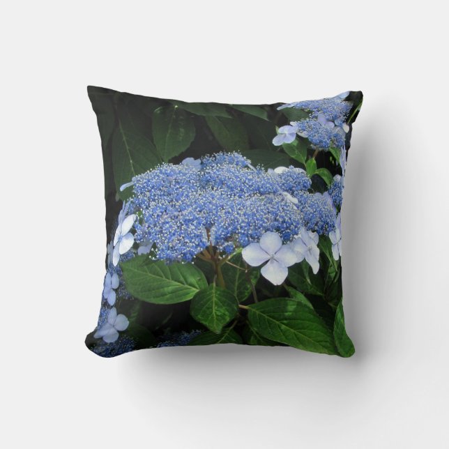 Almohada del ~ del Hydrangea de Lacecap (Anverso)