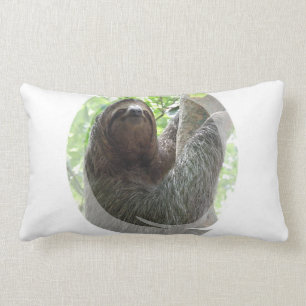 Almohada del diseño de la foto de la pereza
