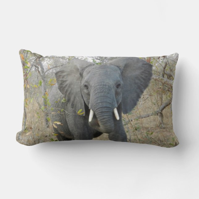 Almohada del elefante africano (Anverso)