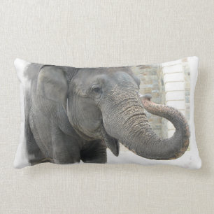 Almohada del elefante el tocar la trompeta