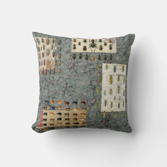 Almohada del escarabajo (Anverso)