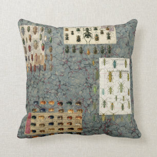 Almohada del escarabajo